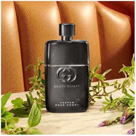 gucci guilty pour homme box|gucci guilty pour homme fragrantica.